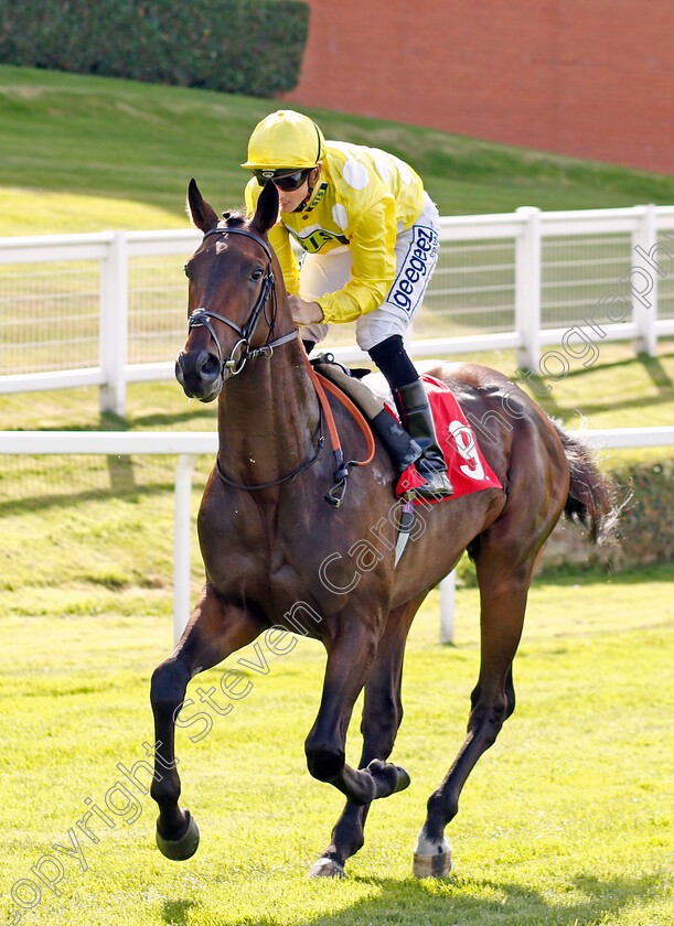 Mon-Choix-0001 
 MON CHOIX (David Probert)
Sandown 30 Aug 2019 - Pic Steven Cargill / Racingfotos.com