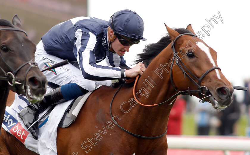 Crowned-Eagle-0002 
 CROWNED EAGLE (Daniel Muscutt)
York 16 May 2018 - Pic Steven Cargill / Racingfotos.com