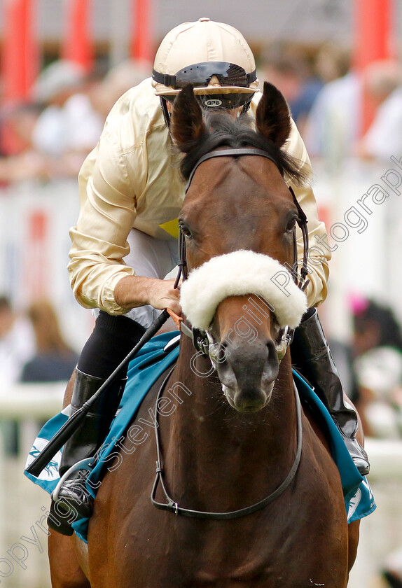 Catch-The-Paddy-0002 
 CATCH THE PADDY (Neil Callan)
York 17 Jun 2023 - Pic Steven Cargill / Racingfotos.com