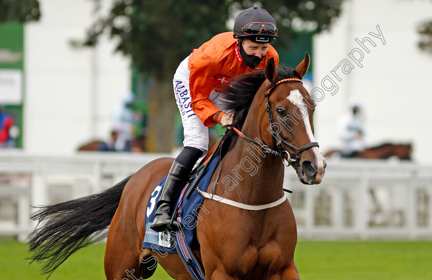 Black-Lotus-0001 
 BLACK LOTUS (Pat Cosgrave)
Yarmouth 16 Sep 2020 - Pic Steven Cargill / Racingfotos.com