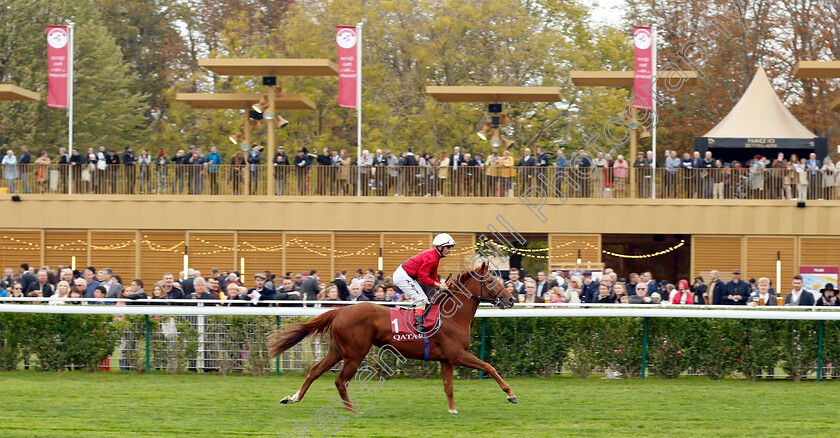 Star-Terms-0001 
 STAR TERMS (Andrea Atzeni)
Longchamp 7 Oct 2018 - Pic Steven Cargill / Racingfotos.com