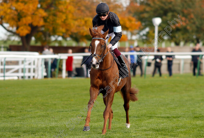 Autolycus-0001 
 AUTOLYCUS (Rob Hornby)
Newmarket 19 Oct 2022 - Pic Steven Cargill / Racingfotos.com