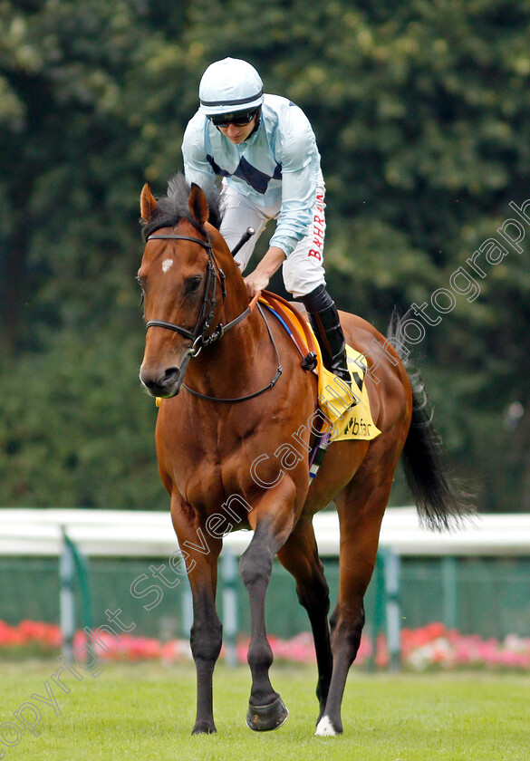 Starman-0002 
 STARMAN (Tom Marquand)
Haydock 4 Sep 2021 - Pic Steven Cargill / Racingfotos.com