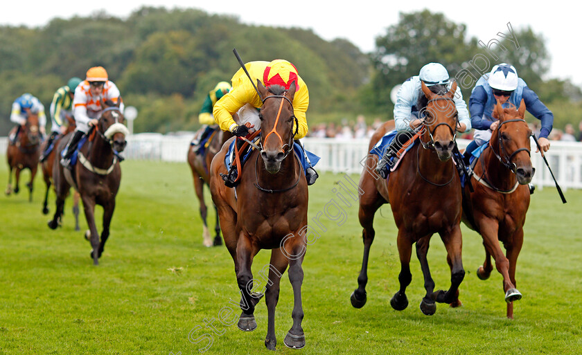 Undertheboardwalk-0005 
 UNDERTHEBOARDWALK (Oisin Murphy) wins The Sorvio Insurance Brokers Novice Stakes Div2
Salisbury 12 Aug 2021 - Pic Steven Cargill / Racingfotos.com