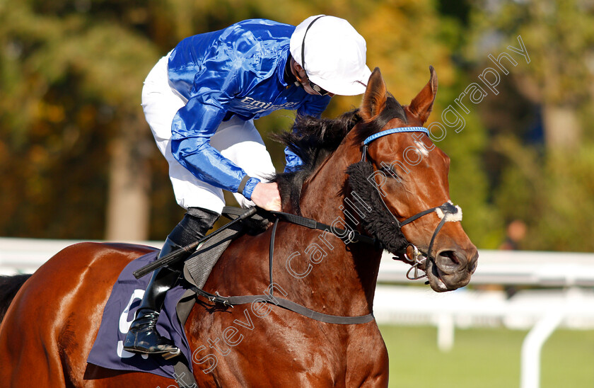 Pennymoor 
 PENNYMOOR (James Doyle)
Lingfield 28 Oct 2021 - Pic Steven Cargill / Raingfotos.com