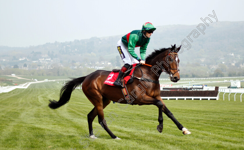 Buzz-De-Turcoing-0001 
 BUZZ DE TURCOING (Sam Twiston-Davies)
Cheltenham 17 Apr 2019 - Pic Steven Cargill / Racingfotos.com