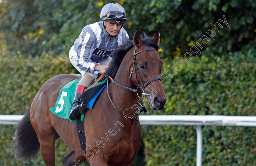 Carbon-0001 
 CARBON (Andrea Atzeni)
Kempton 4 Aug 2021 - Pic Steven Cargill / Racingfotos.com