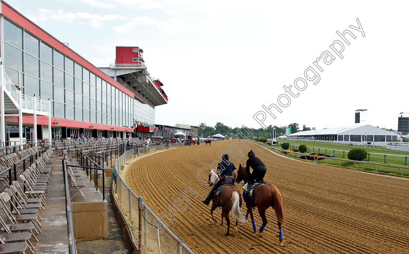 Improbable-0001 
 IMPROBABLE exercising in preparation for the Preakness Stakes
Pimlico, Baltimore USA, 16 May 2019 - Pic Steven Cargill / Racingfotos.com