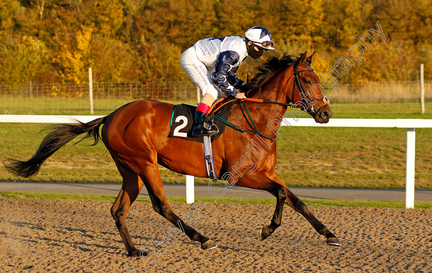 Golden-Claim-0002 
 GOLDEN CLAIM (Andrea Atzeni)
Chelmsford 22 Oct 2020 - Pic Steven Cargill / Racingfotos.com