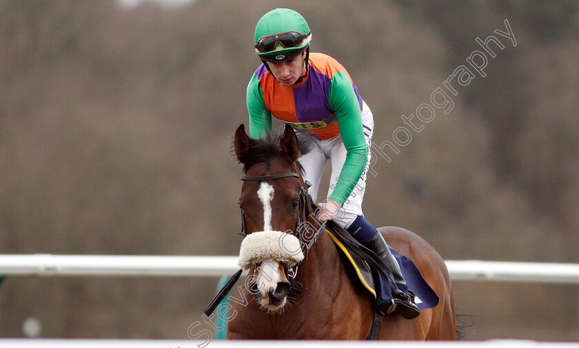 Don-Armado-0001 
 DON ARMADO (Oisin Murphy)
Lingfield 2 Mar 2019 - Pic Steven Cargill / Racingfotos.com