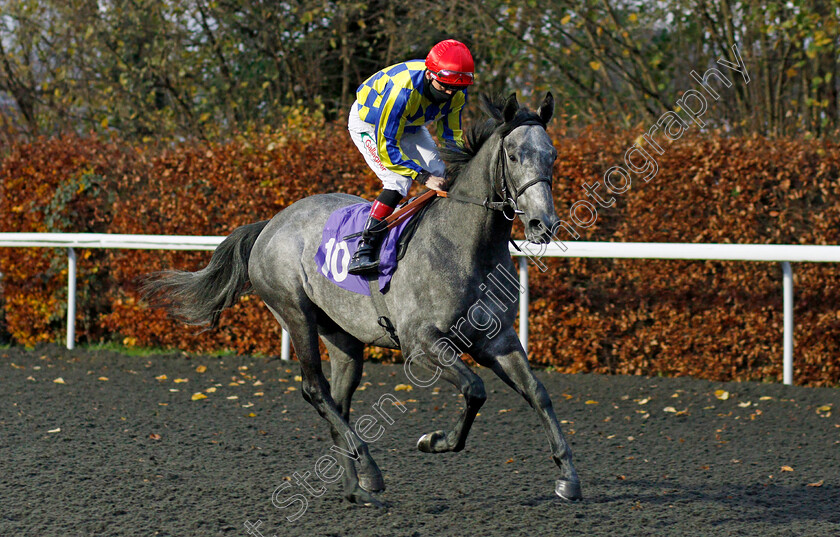 Kath s-Toyboy-0001 
 KATH'S TOYBOY (Shane Kelly)
Kempton 25 Nov 2020 - Pic Steven Cargill / Racingfotos.com