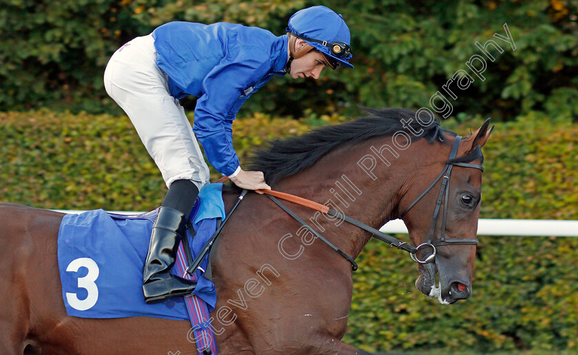 First-View-0003 
 FIRST VIEW (Hector Crouch) winner of The 32Red Casino EBF Novice Stakes
Kempton 2 Oct 2019 - Pic Steven Cargill / Racingfotos.com