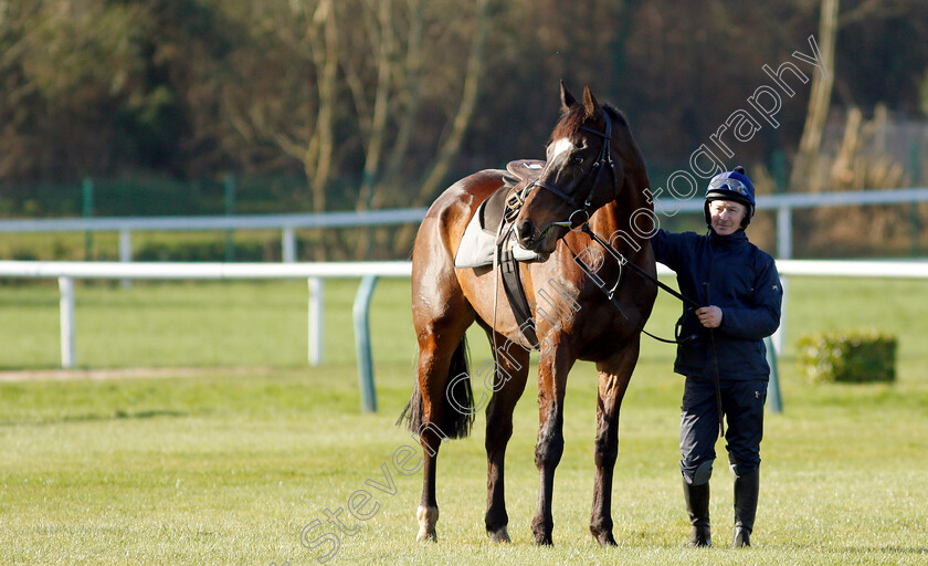 Appreciate-It-0002 
 APPRECIATE IT after exercise on the eve of the Cheltenham Festival
Cheltenham 14 Mar 2022 - Pic Steven Cargill / Racingfotos.com