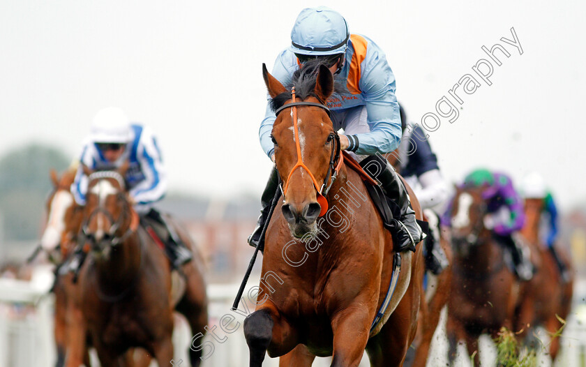 Raymond-Tusk-0008 
 RAYMOND TUSK (Tom Marquand) wins The Dubai Duty Free Tennis Championships Maiden Stakes Div2 Newbury 21 Apr 2018 - Pic Steven Cargill / Racingfotos.com