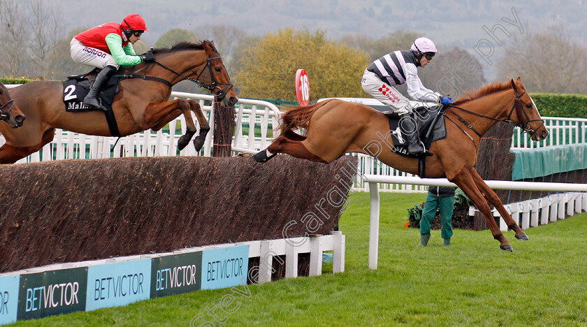 Poker-Play-0001 
 POKER PLAY (Tom Scudamore) leads REDZOR (left)
Cheltenham 16 Nov 2019 - Pic Steven Cargill / Racingfotos.com