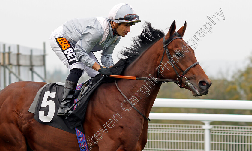 French-Kiss-0001 
 FRENCH KISS (Silvestre De Sousa) Goodwood 27 Sep 2017 - Pic Steven Cargill / Racingfotos.com