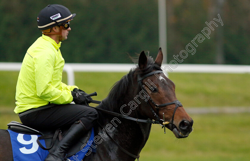 Marie s-Rock-0001 
 MARIE'S ROCK (Nico de Boinville)
Coral Gold Cup Gallops Morning
Newbury 21 Nov 2023 - Pic Steven Cargill / Racingfotos.com