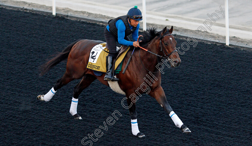 Good-Effort-0001 
 GOOD EFFORT training for The Golden Shaheen
Meydan, Dubai, 24 Mar 2022 - Pic Steven Cargill / Racingfotos.com