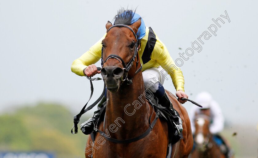 Quddwah-0002 
 QUDDWAH (William Buick) wins The Bet With Ascot Donation Scheme Paradise Stakes
Ascot 1 May 2024 - Pic Steven Cargill / Racingfotos.com