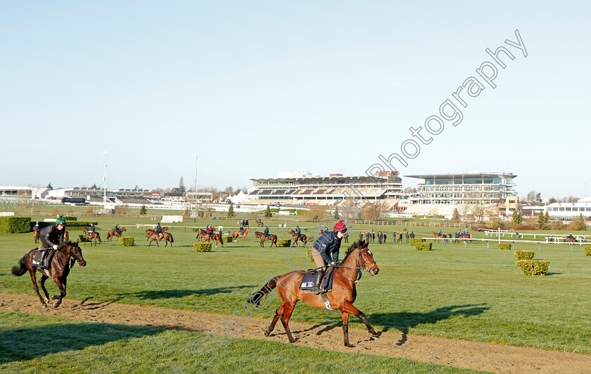 Tiger-Roll-0004 
 TIGER ROLL exercising on the eve of the Cheltenham Festival
Cheltenham 14 Mar 2022 - Pic Steven Cargill / Racingfotos.com