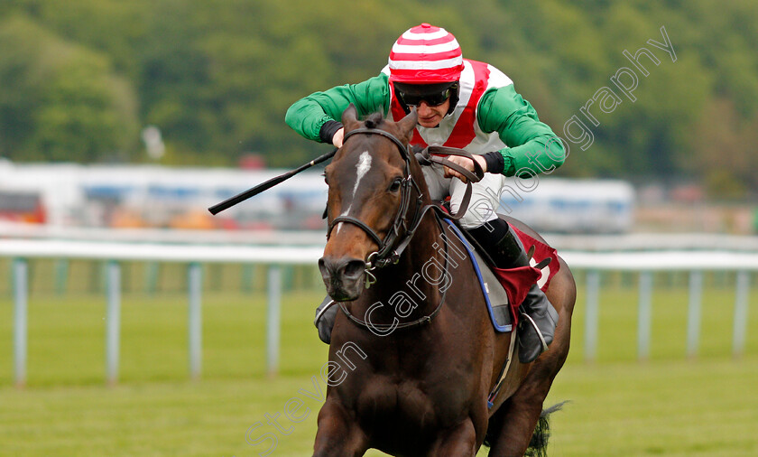 Elhafei-0003 
 ELHAFEI (Bradley Roberts) wins The Plank Lane Amateur Jockeys Handicap
Haydock 28 May 2021 - Pic Steven Cargill / Racingfotos.com