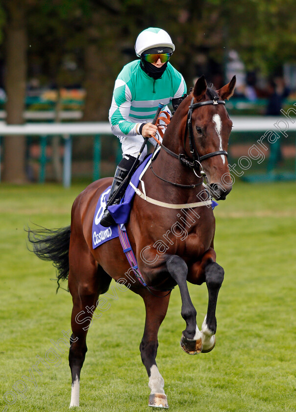 Headingley-0002 
 HEADINGLEY (Ben Curtis)
Haydock 22 May 2021 - Pic Steven Cargill / Racingfotos.com