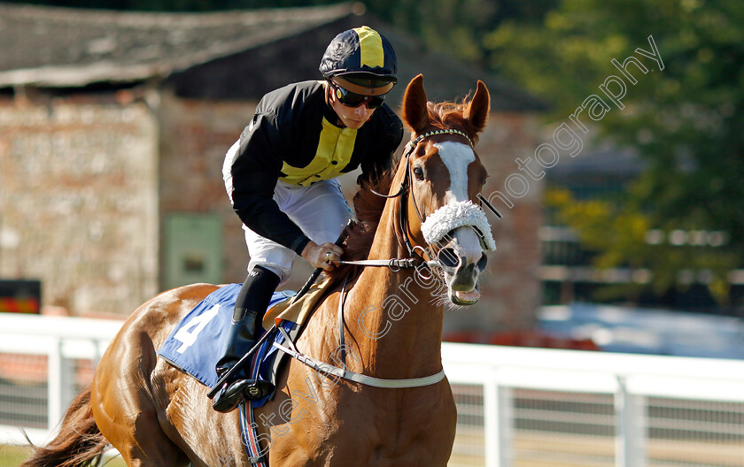 Whimsy-0001 
 WHIMSY (Jason Watson) winner of The Kevin Hall & Pat Boakes Memorial Handicap
Salisbury 11 Aug 2022 - Pic Steven Cargill / Racingfotos.com