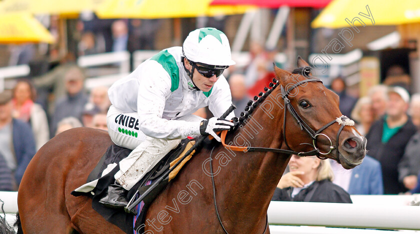 Khalifa-Sat-0005 
 KHALIFA SAT (Jamie Spencer) wins The Heineken 0.0% Future Stayers EBF Maiden Stakes
Goodwood 25 Sep 2019 - Pic Steven Cargill / Racingfotos.com