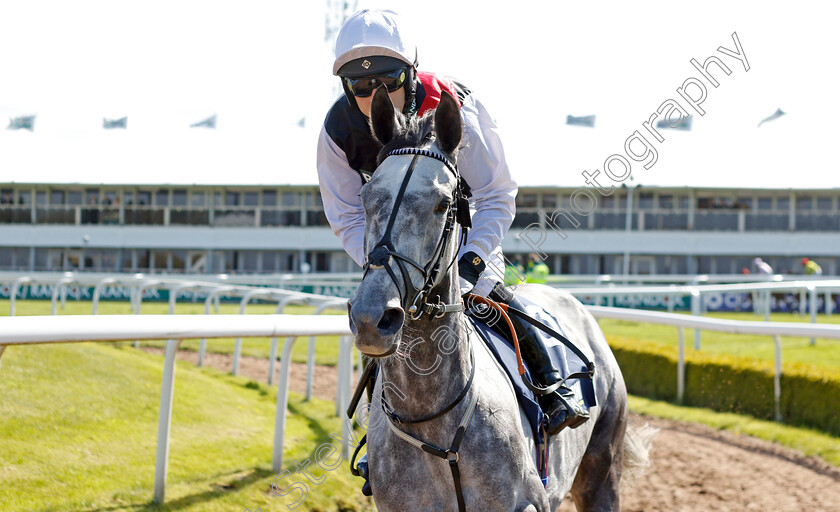 Greyval-0001 
 GREYVAL (Paddy Brennan)
Aintree 13 Apr 2023 - Pic Steven Cargill / Racingfotos.com