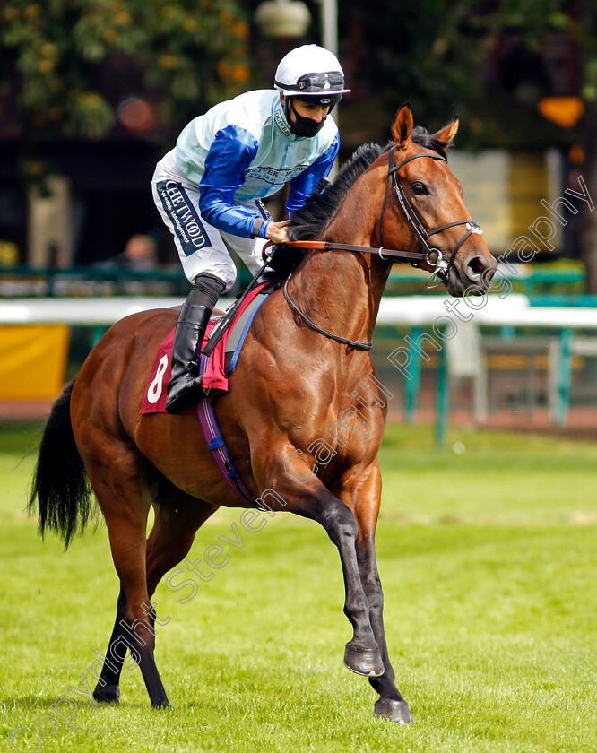 William-Bligh-0001 
 WILLIAM BLIGH (Harry Bentley)
Haydock 5 Sep 2020 - Pic Steven Cargill / Racingfotos.com