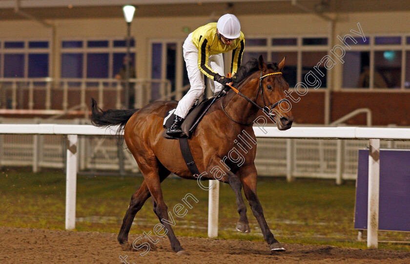 Father-Of-Jazz-0008 
 FATHER OF JAZZ (Callum Shepherd) wins The Racing Welfare Novice Stakes
Chelmsford 14 Jan 2021 - Pic Steven Cargill / Racingfotos.com