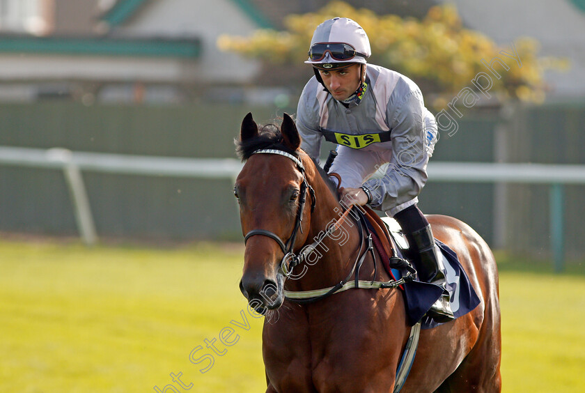 Equo-0001 
 EQUO (Adam Beschizza) Yarmouth 16 Oct 2017 - Pic Steven Cargill / Racingfotos.com