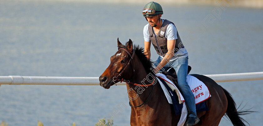 Magny-Cours-0003 
 MAGNY COURS exercising in preparation for Friday's Bahrain International Trophy
Sakhir Racecourse, Bahrain 18 Nov 2021 - Pic Steven Cargill / Racingfotos.com