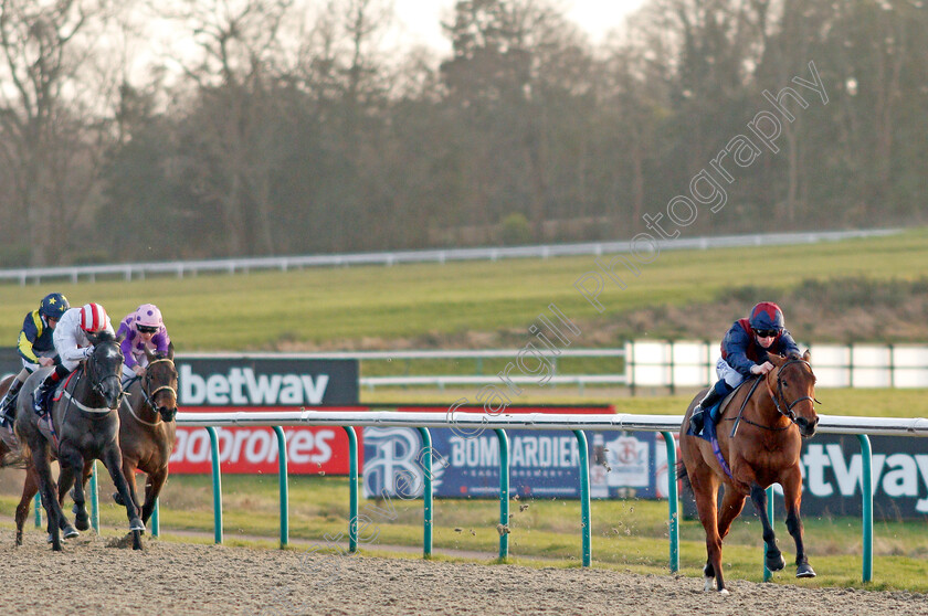 Ahorsecalledwanda-0003 
 AHORSECALLEDWANDA (Joey Haynes) wins The Ladbrokes Where The Nation Plays Fillies Novice Stakes
Lingfield 8 Feb 2020 - Pic Steven Cargill / Racingfotos.com