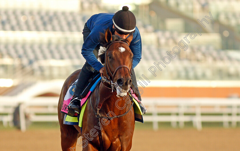 Pinehurst-0001 
 PINEHURST training for the UAE Derby
Meydan, Dubai, 23 Mar 2022 - Pic Steven Cargill / Racingfotos.com