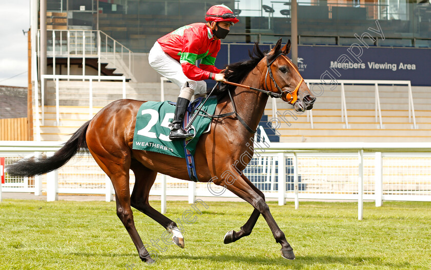 Risque-0001 
 RISQUE (Kieran O'Neill)
Newbury 19 Jul 2020 - Pic Steven Cargill / Racingfotos.com