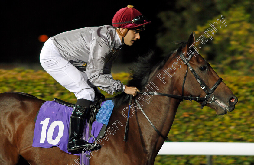 Msayyan-0001 
 MSAYYAN (Robert Tart) Kempton 4 Oct 2017 - Pic Steven Cargill / Racingfotos.com