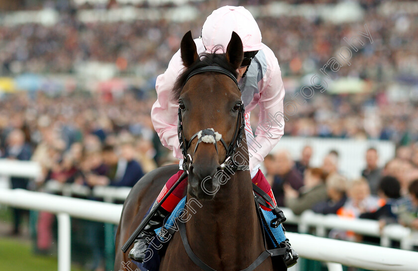 Too-Darn-Hot-0001 
 TOO DARN HOT (Frankie Dettori) before The Howcroft Industrial Supplies Champagne Stakers
Doncaster 15 Sep 2018 - Pic Steven Cargill / Racingfotos.com