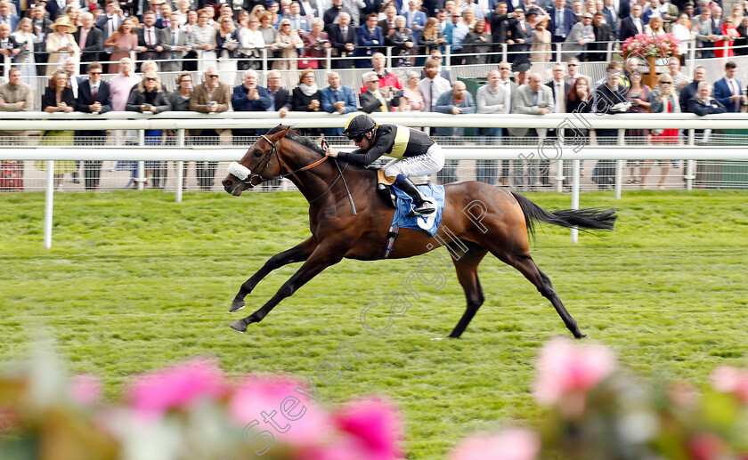 Urban-Aspect-0003 
 URBAN ASPECT (Oisin Murphy) wins The Nationwide Accident Repair Services Handicap
York 24 Aug 2018 - Pic Steven Cargill / Racingfotos.com