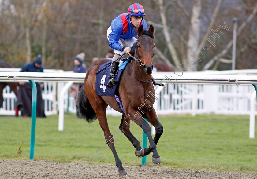 Equal-Share-0001 
 EQUAL SHARE (Richard Kingscote) winner of The Coral Proud To Support British Racing EBF Fillies Novice Stakes Div1
Lingfield 1 Dec 2021 - Pic Steven Cargill / Racingfotos.com