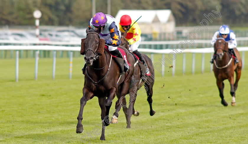 Hyperfocus-0003 
 HYPERFOCUS (Rachel Richardson) wins The More Ways To Win On Betfair Handicap
Haydock 4 Sep 2020 - Pic Steven Cargill / Racingfotos.com