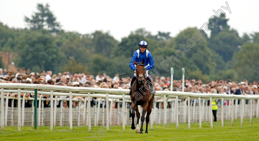 Battaash-0001 
 BATTAASH (Jim Crowley) parades on track before the Nunthorpe Stakes
York 20 Aug 2021 - Pic Steven Cargill / Racingfotos.com