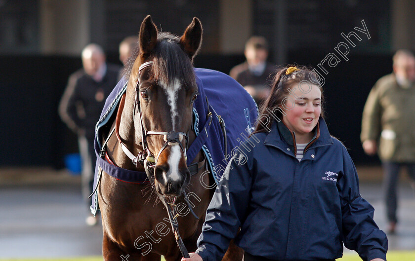 Coolnaugh-Haze-0001 
 COOLNAUGH HAZE
Warwick 9 Dec 2021 - Pic Steven Cargill / Racingfotos.com