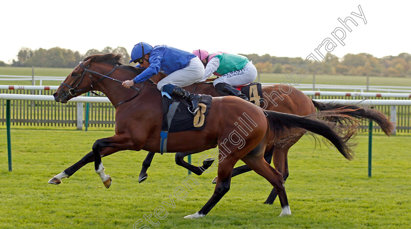 Regal-Honour-0004 
 REGAL HONOUR (William Buick) wins The Stephen Rowley Remembered Novice Stakes
Newmarket 19 Oct 2022 - Pic Steven Cargill / Racingfotos.com