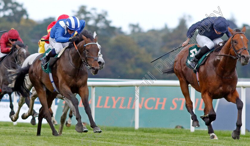 Adelaide-River-0003 
 ADELAIDE RIVER (right, Ryan Moore) beats AL AASY (left) in The Paddy Power Stakes
Leopardstown 9 Sep 2023 - Pic Steven Cargill / Racingfotos.com