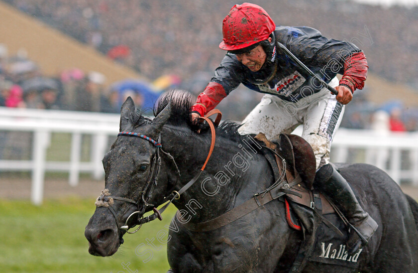 Black-Corton-0005 
 BLACK CORTON (Bryony Frost) wins The mallardjewellers.com Novices Chase Cheltenham 18 Nov 2017 - Pic Steven Cargill / Racingfotos.com