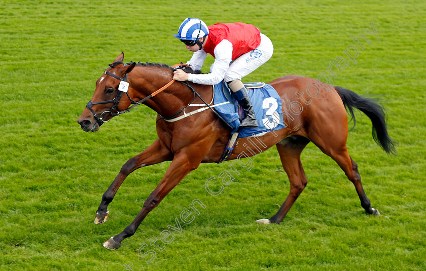 Explicit-0003 
 EXPLICIT (Connor Beasley) wins The SKF Rous Selling Stakes
York 10 Jun 2022 - Pic Steven Cargill / Racingfotos.com