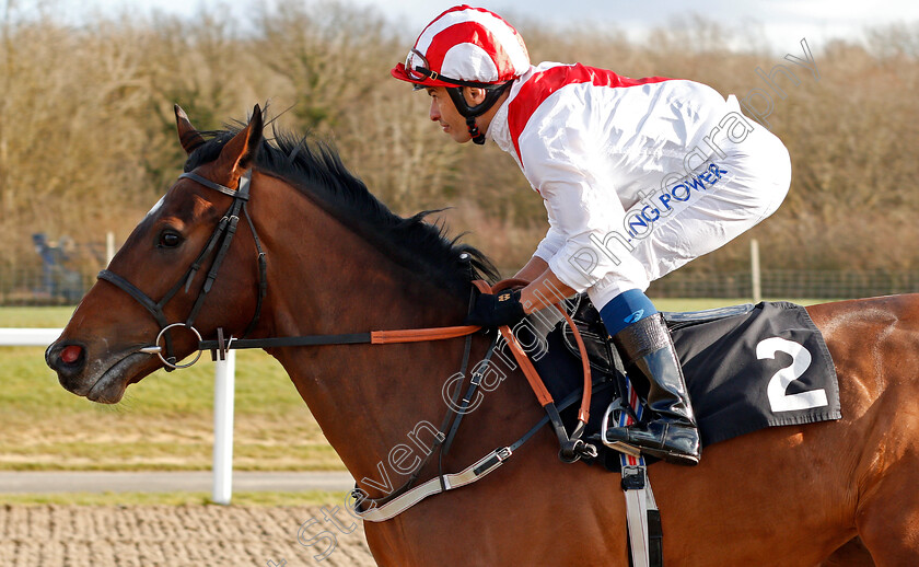 Night-Voyager-0001 
 NIGHT VOYAGER (Silvestre De Sousa)
Chelmsford 11 Feb 2020 - Pic Steven Cargill / Racingfotos.com