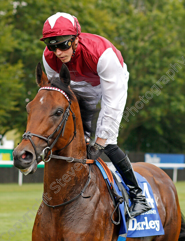 Glorious-Journey-0002 
 GLORIOUS JOURNEY (James Doyle)
Newmarket 13 Jul 2019 - Pic Steven Cargill / Racingfotos.com