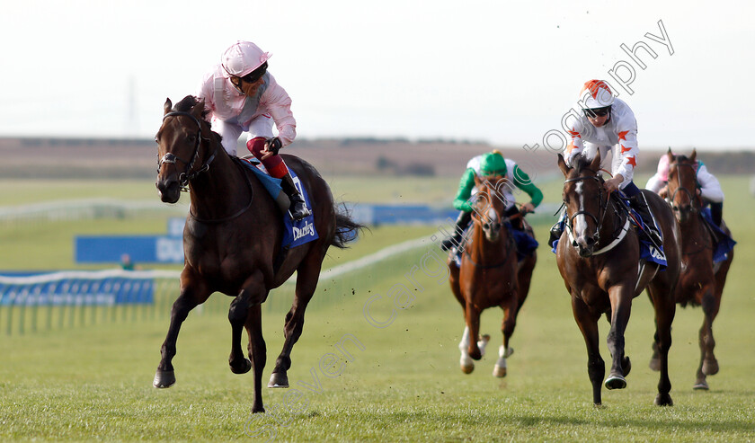 Too-Darn-Hot-0011 
 TOO DARN HOT (Frankie Dettori) wins The Darley Dewhurst Stakes
Newmarket 13 Oct 2018 - Pic Steven Cargill / Racingfotos.com